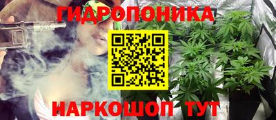 герыч Кингисепп