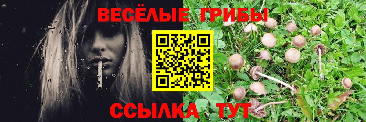 Чусовой  Псилоцибиновые грибы Psilocybine cubensis  Вход с VPN 